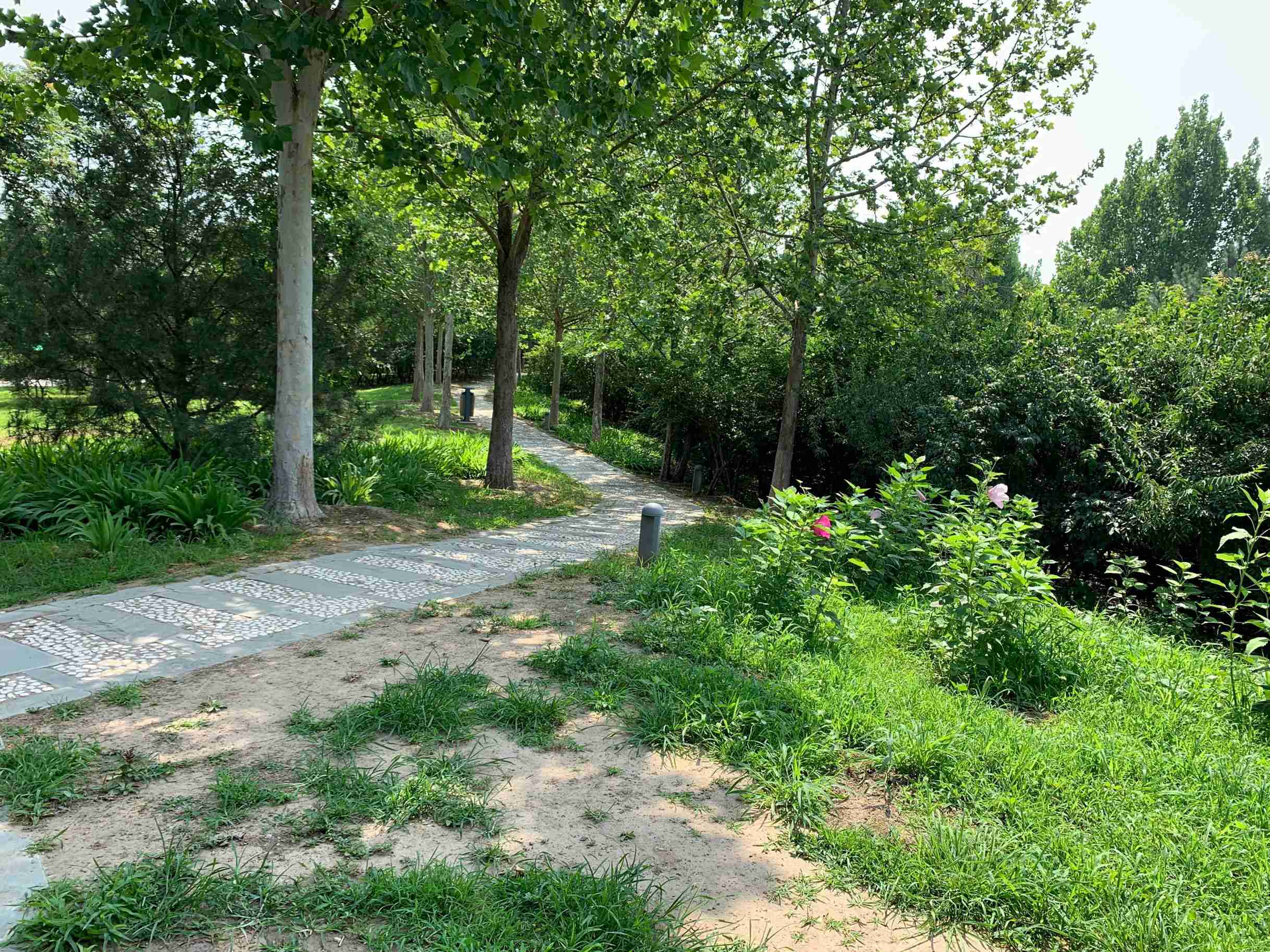 北京南海子郊野公园