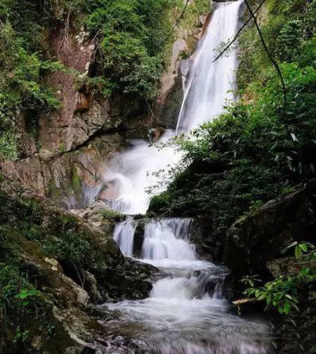 乐安金竹瀑布群