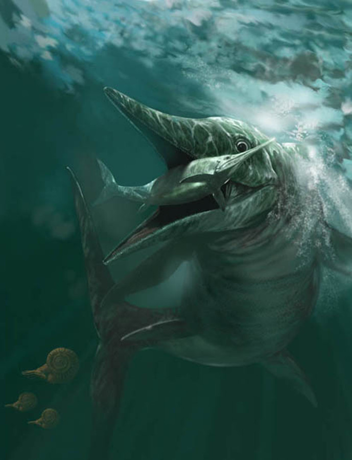 >中等体型的一种 a href="#" data-lemmaid="4164708">肉食性 /a>鱼龙