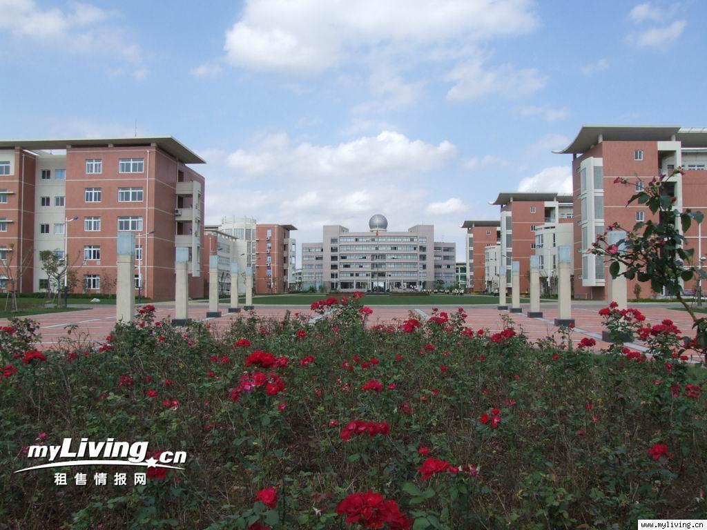 上海市南汇中学