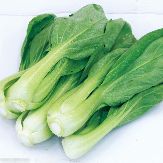 四季小白菜 百度百科