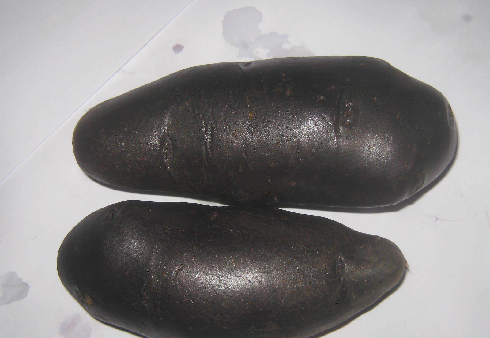  p data-id="go0kze2wdr">黑土豆(黑马铃薯)是集营养,保健,观赏于一体