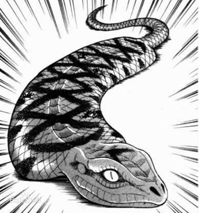  p>野槌蛇(日语:槌の子,ツチノコ)是日本的一种类似蛇的传说生物,外型