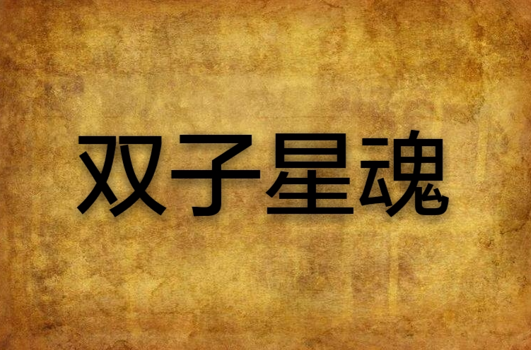 双子星魂
