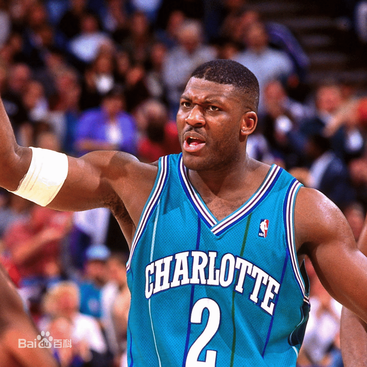  p>拉里·约翰逊(larry johnson),1969年3月14日出生于美国 a target=