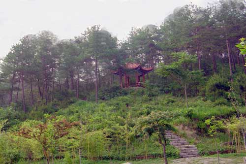 中国天然碱之都