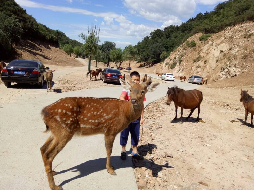 北京八达岭野生动物世界