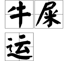 牛屎运