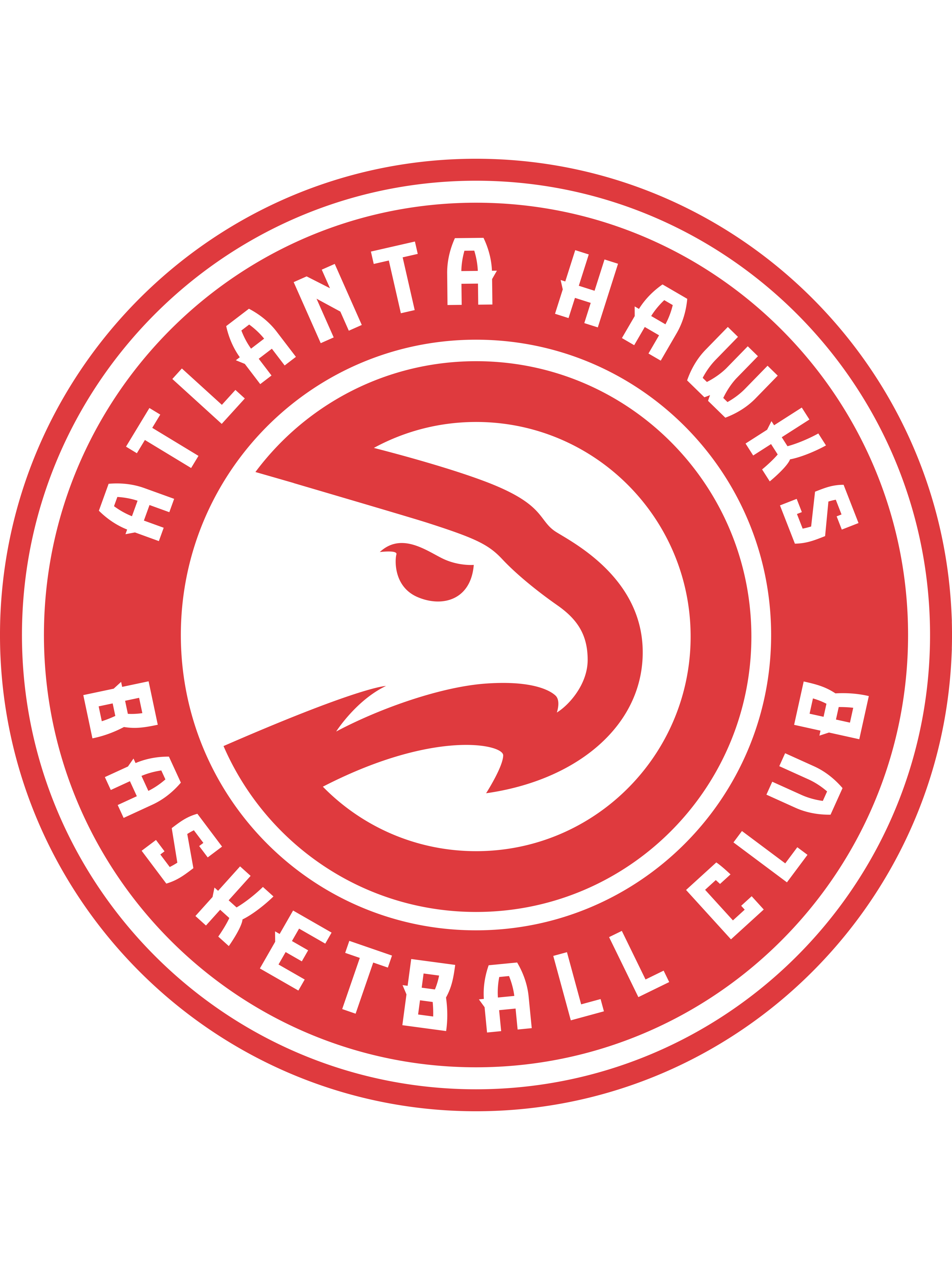 亚特兰大老鹰队