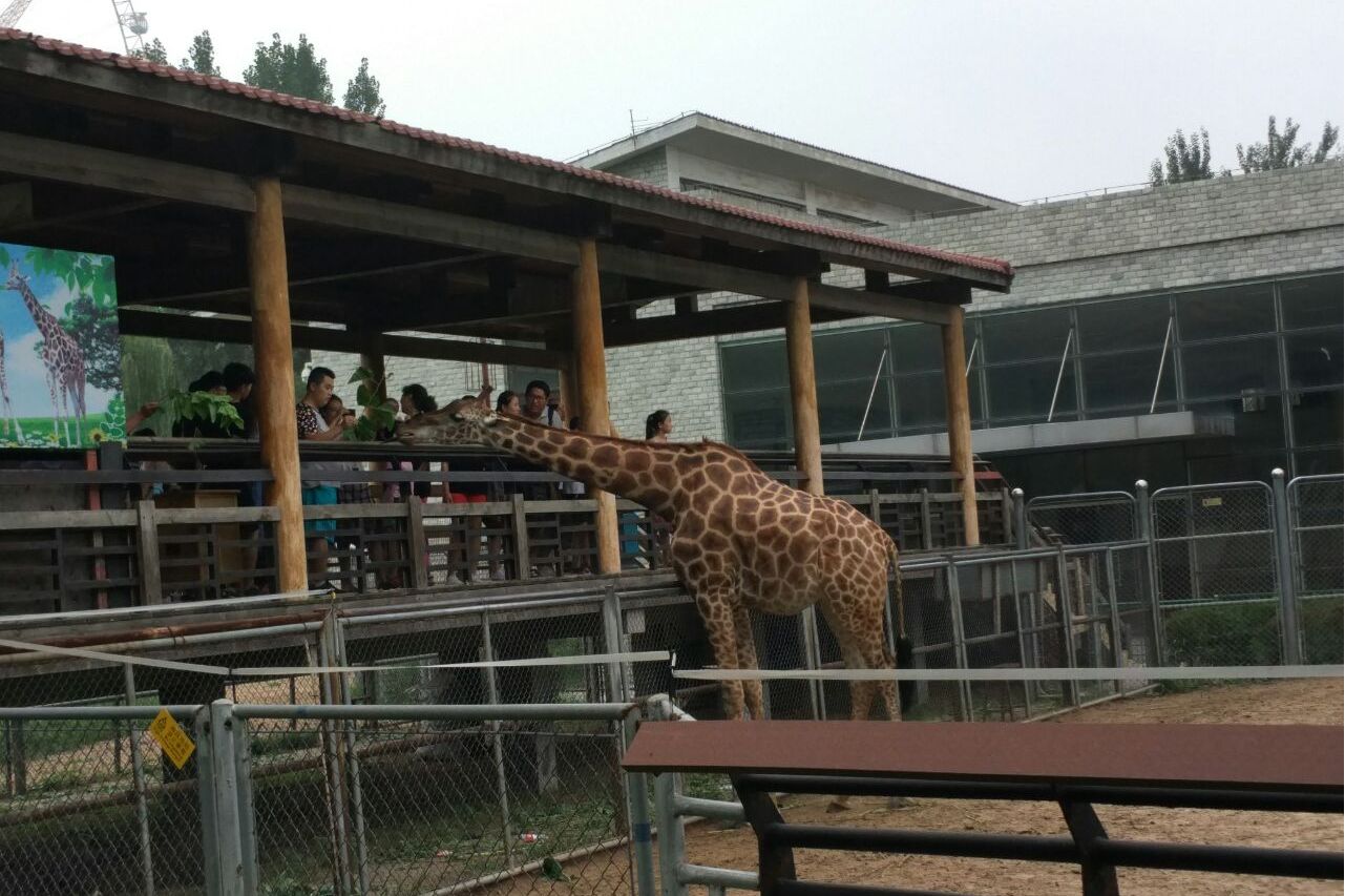 石家庄市动物园科普基地