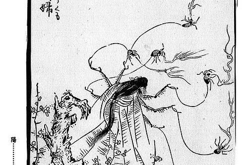  p>络新妇,日本传说的妖怪,本来的意义为"女郎蜘蛛",也叫 a target="