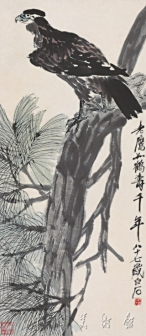 松鹰