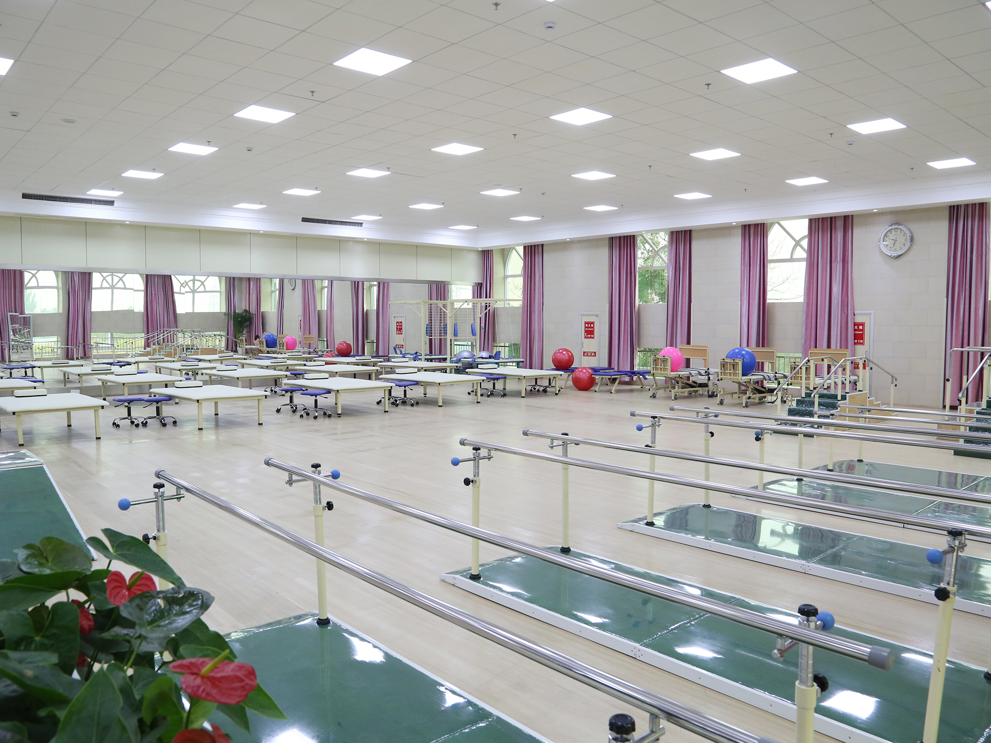 包含中國康復研究中心（北京博愛醫(yī)院）當天就能掛上號的詞條