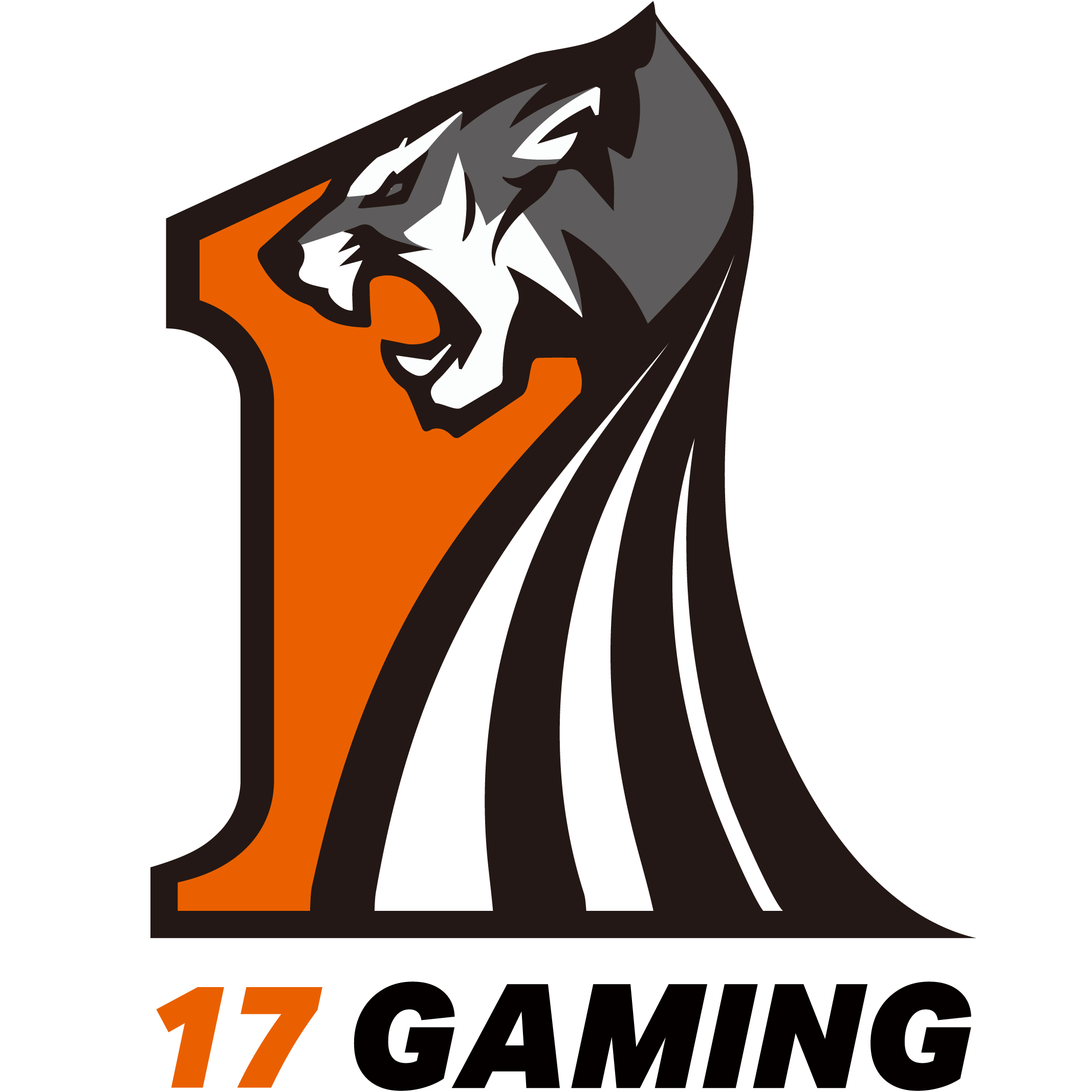 17gaming电子竞技俱乐部