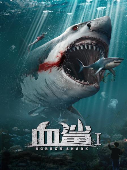鲨鱼影视磁力搜=鲨鱼磁力12apk