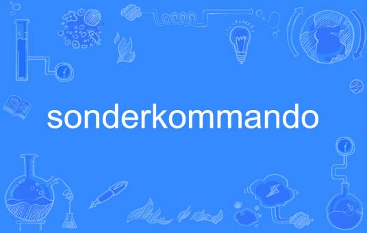 sonderkommando_百度百科