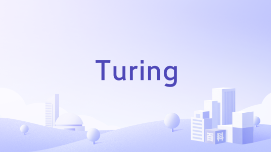 Turing（美国AI数据服务公司）_百度百科