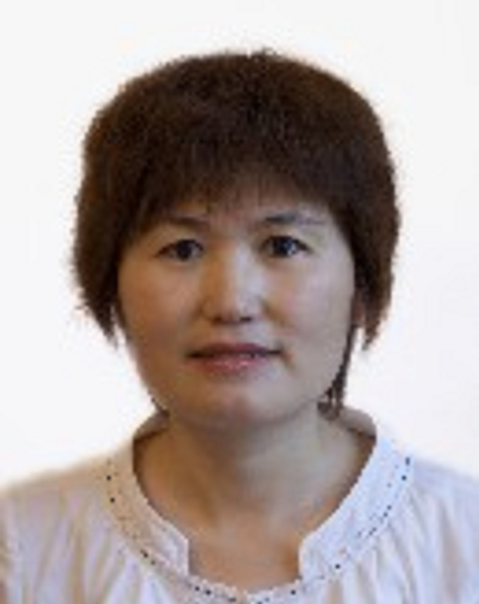 陈淑敏