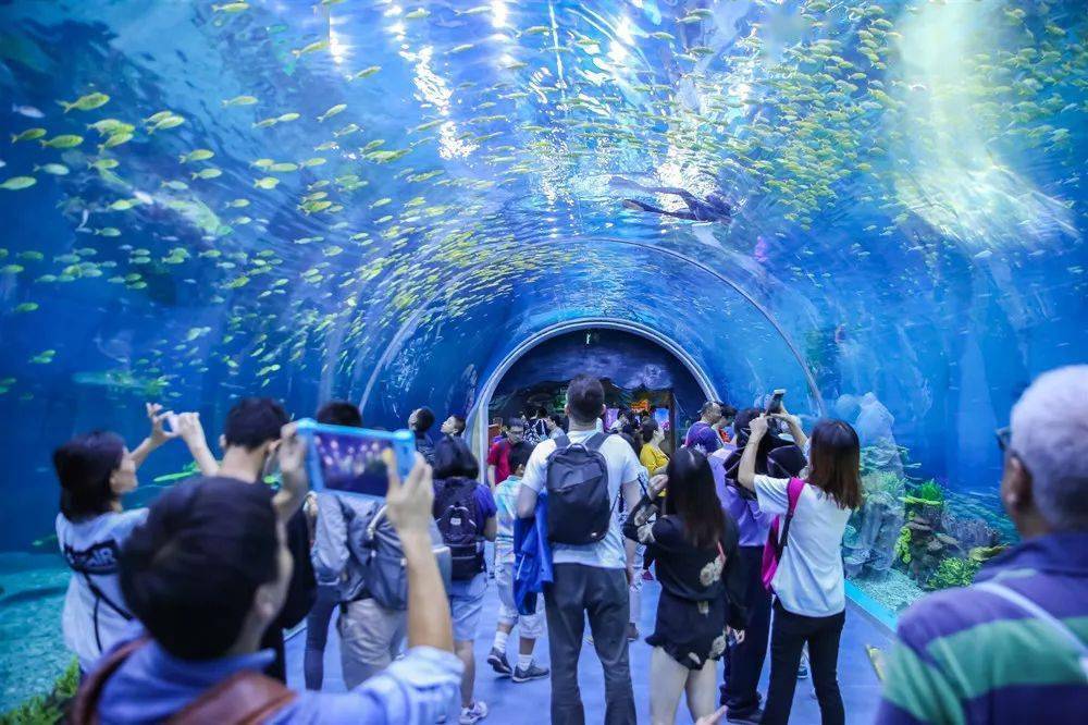 上海海昌海洋公园_百度百科