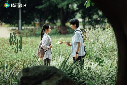 焕羽（2025年张婧仪、周翊然领衔主演的电视剧）_百度百科