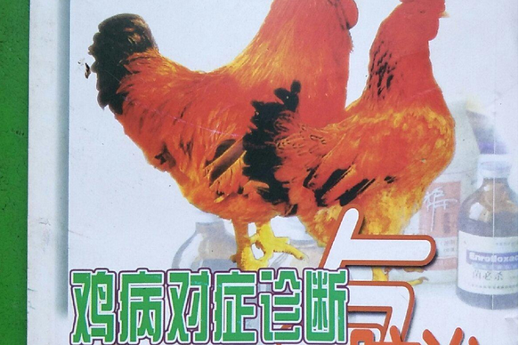 鸡病对症诊断与防治