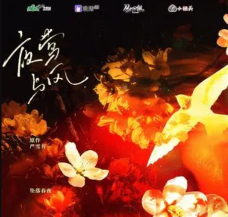 夜莺歌曲(夜莺歌曲简谱)