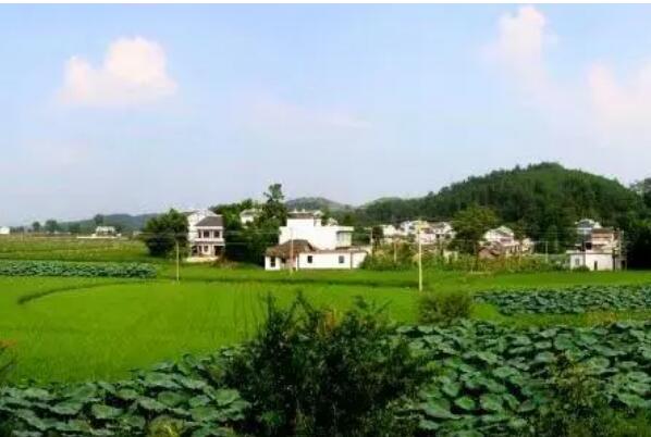  p data-id="go0fjt59iy">龙坪镇,隶属于贵州省遵义市播州区,地处 a