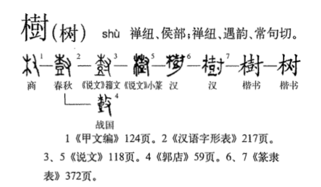 树（汉语文字）_百度百科