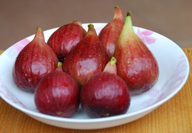 无花果是剥皮吃吗还是直接吃 看完才知道原来无花果的好处这么多 百科ta说