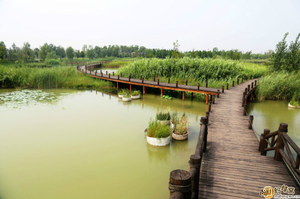 北湖(山东省济宁市北湖)