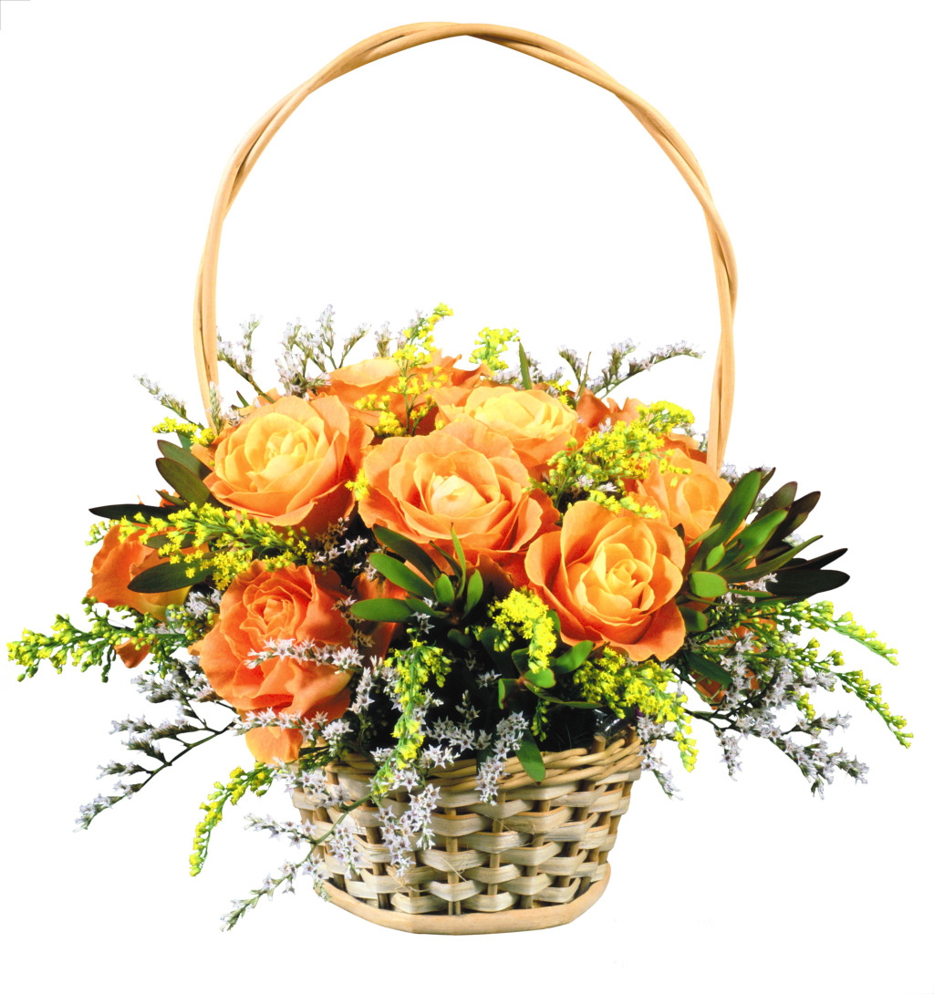 花篮(花篮式悬挑架)