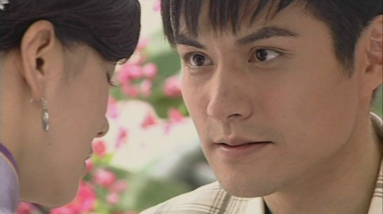 执导, a href="#" data-lemmaid="9794812">严屹宽 /a>主演的电视剧