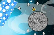 小鸡也要坐飞船