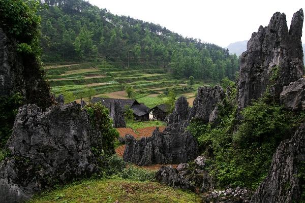 长坝石林