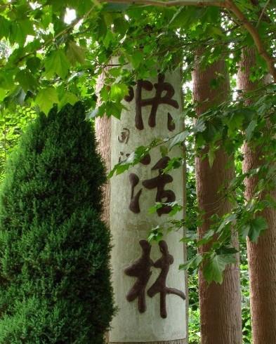 data-lemmaid="3790248">快活林 /a>,清河县城西部 a target="_blank"