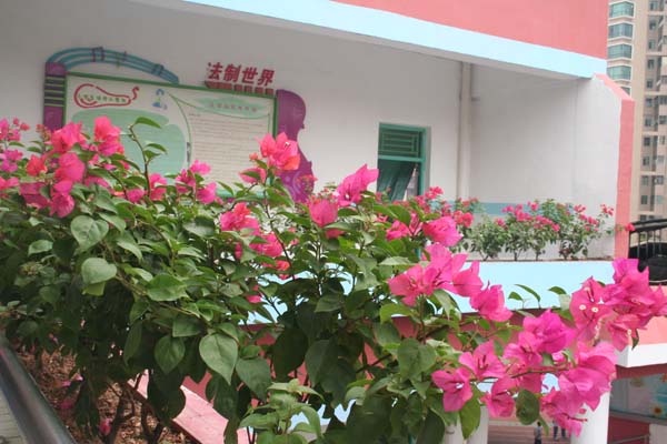 深圳新安湖小学