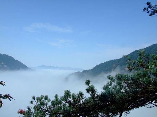  p>鬼子寨风景区位于湖南省郴州市宜章县莽山国家森林公园内,是湖南省