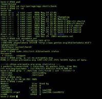 unix shell_百度百科