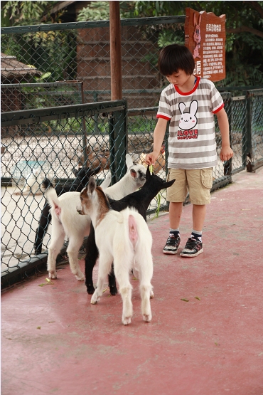 他是人见人爱的小精灵,他的正太形象更是受到众多广告商的青睐,还不到