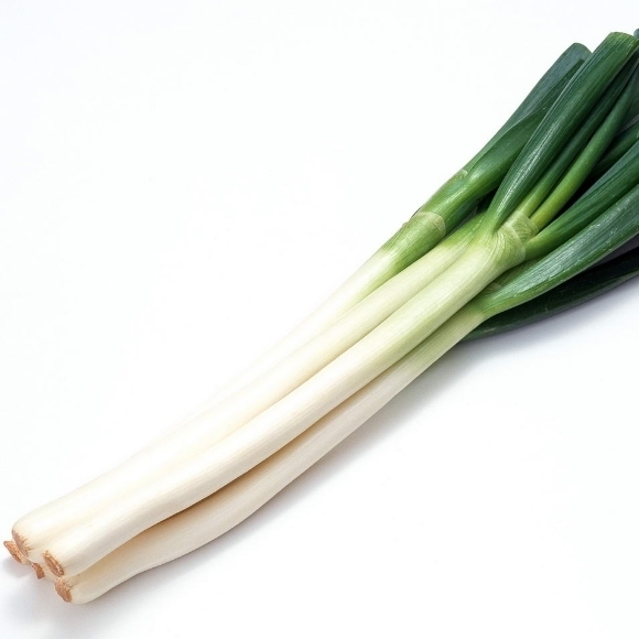 大葱