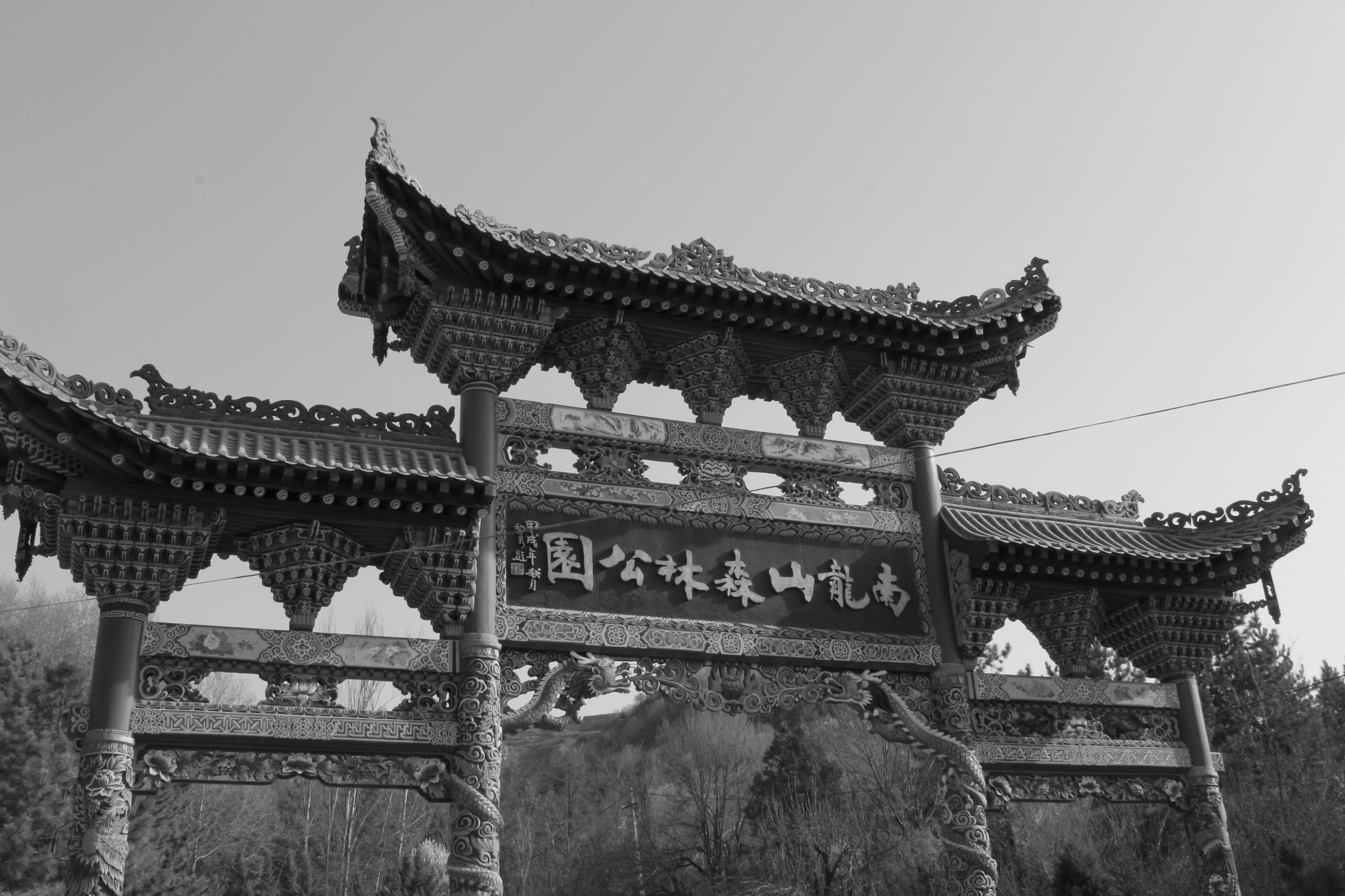  p>南龙山,又称 a target="_blank" href="/item/南龙山森林公园
