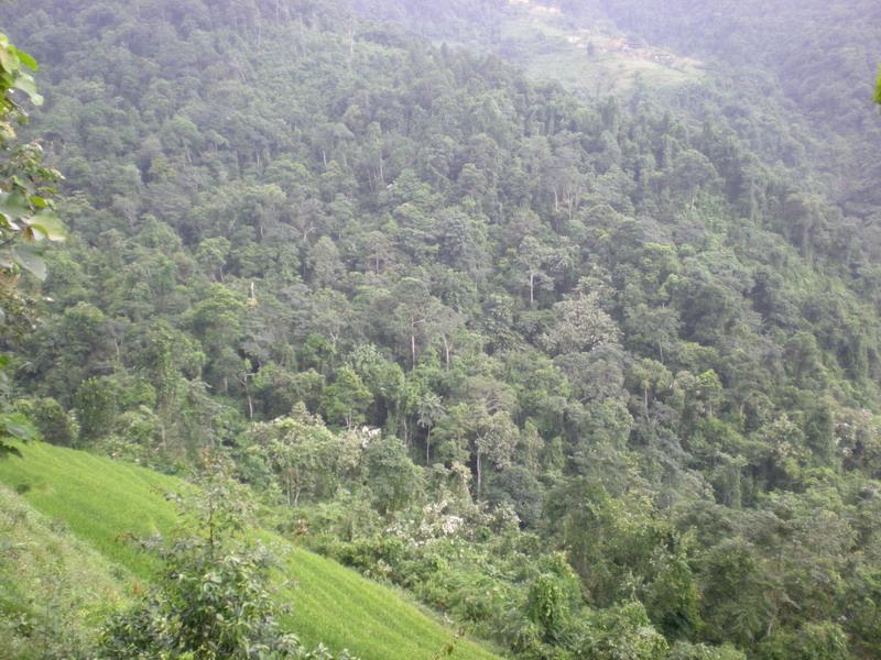  p>莲花滩乡,隶属于云南省红河哈尼族彝族自治州河口瑶族自治县,地处 