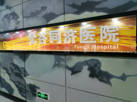 武汉地铁11号线