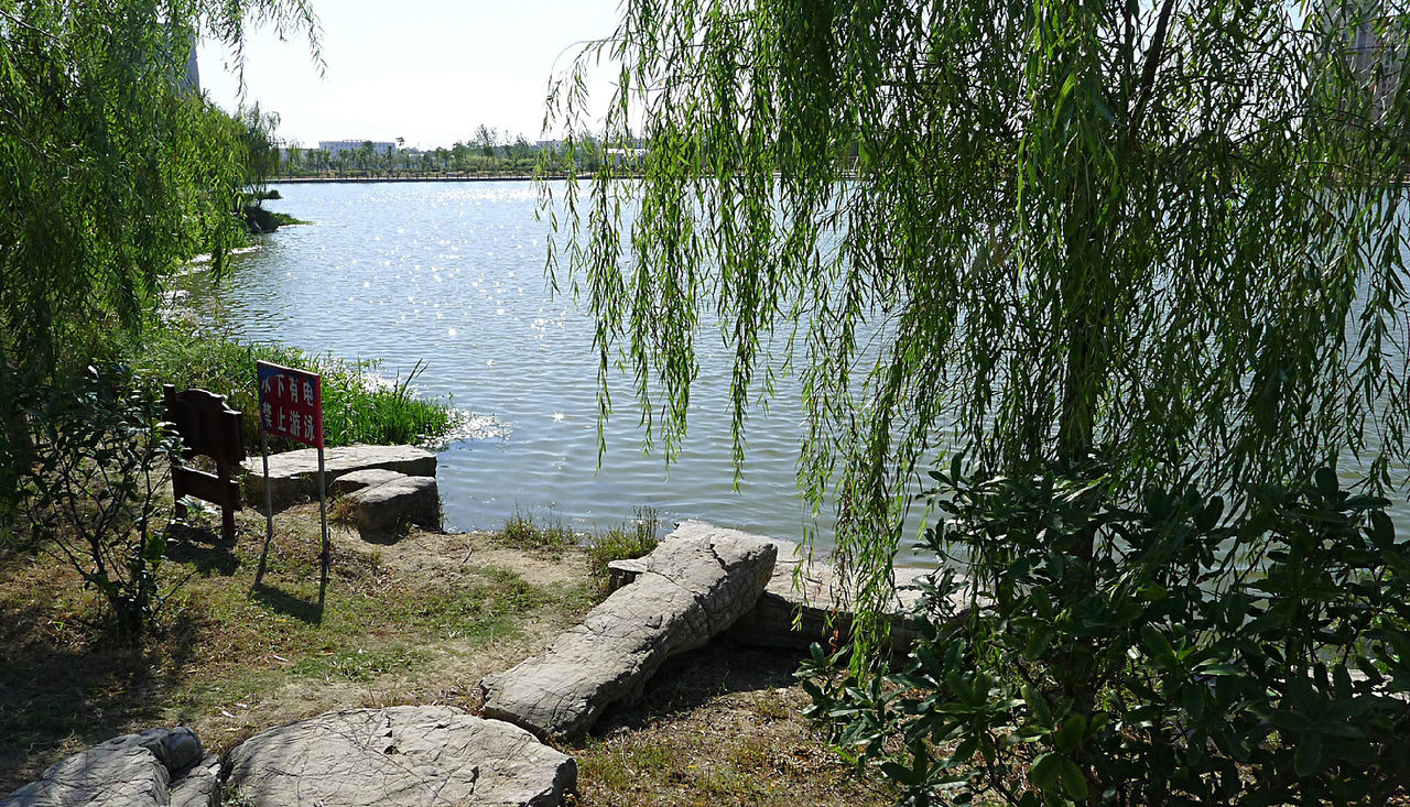  p>滨海县, a target="_blank" href="/item/江苏省/320938" data