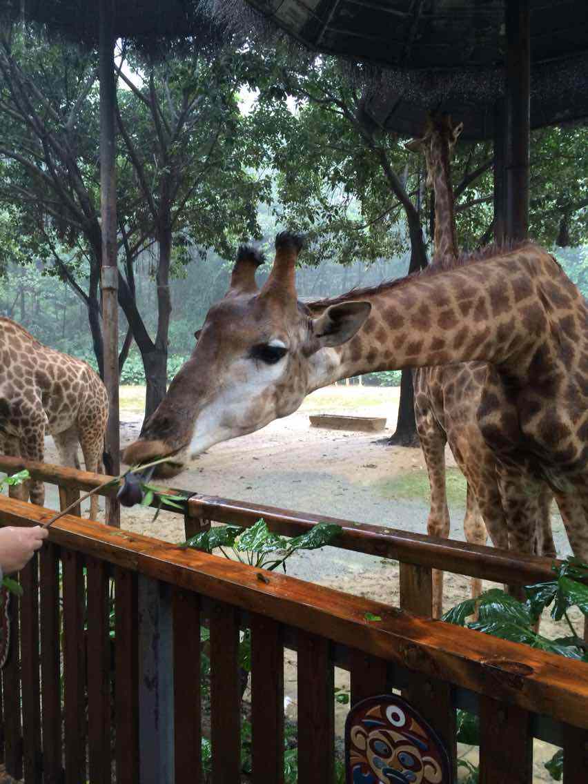 浦口珍珠泉野生动物生态园