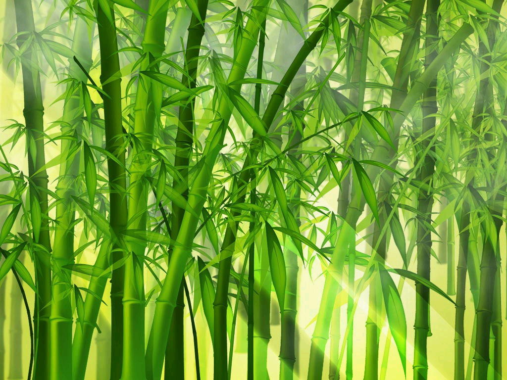 它们分别是:梅,兰,竹,菊. /p>