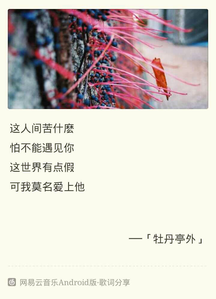 牡丹亭外