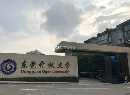 p>东莞开放大学(dongguan open univerisity)是东莞市第一所公办高校
