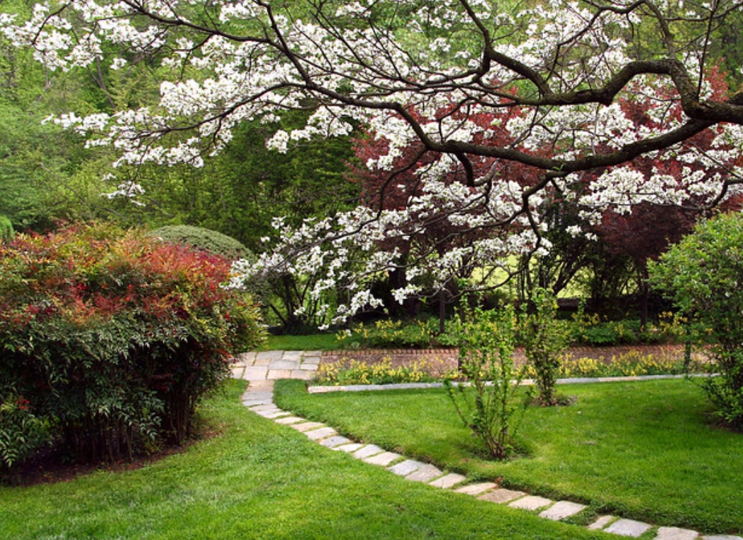 华盛顿樱花园(washington cherry garden):每年春天来临时,美国首都<a