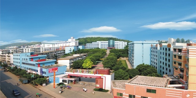 宜章县第一中学